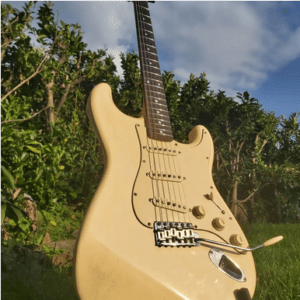 Micros Stratocaster