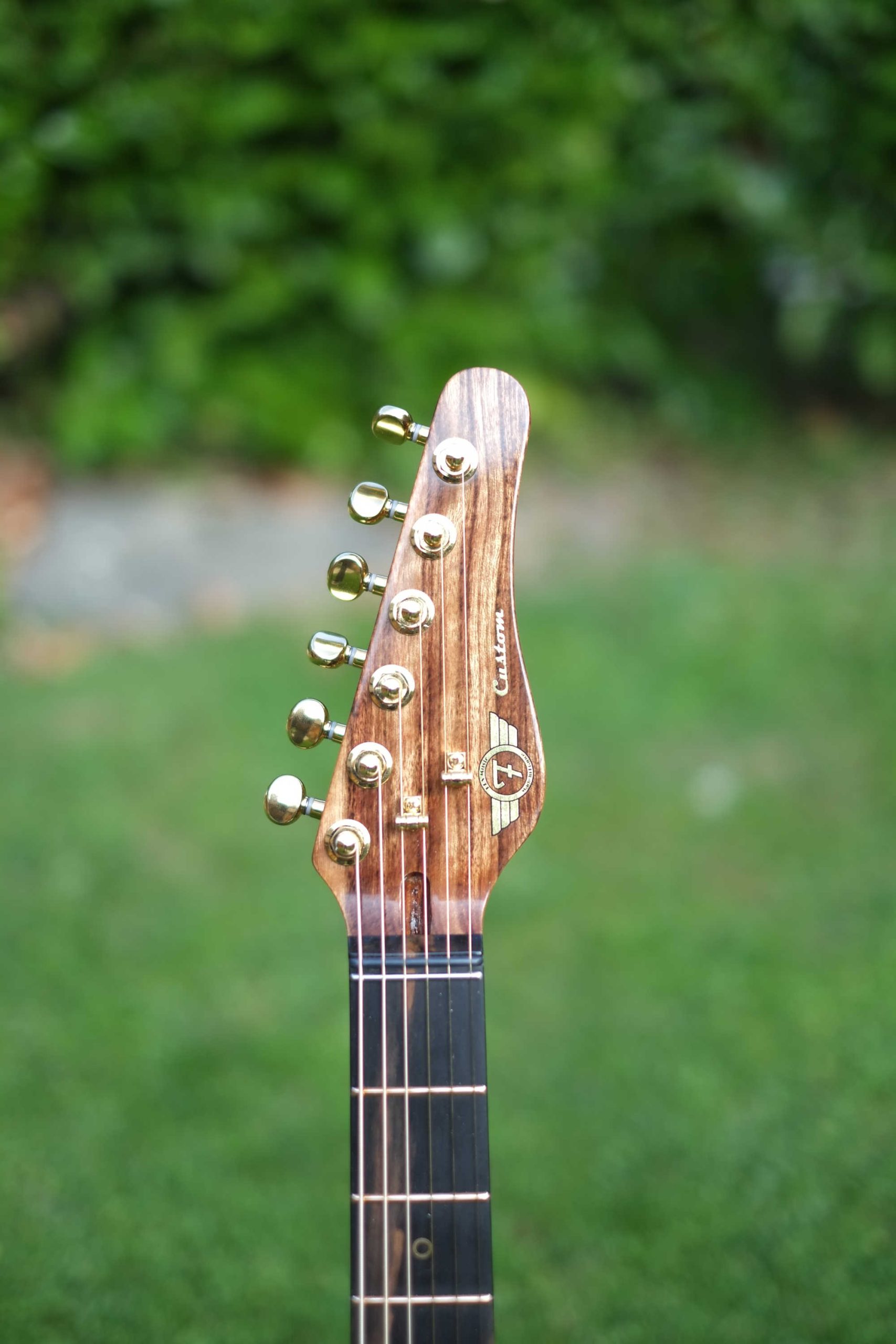 Guitare type V - Gold bronze – Image 6